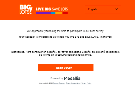  Big-Lots-Survey-Homepage-at-www.biglots.com