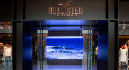 Hollister-Guest-Satisfaction-Survey-at-www.TellHCO.com